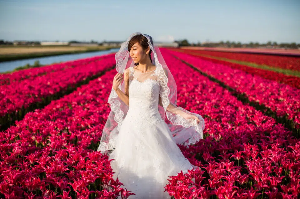 Prewedding flower fields Holland