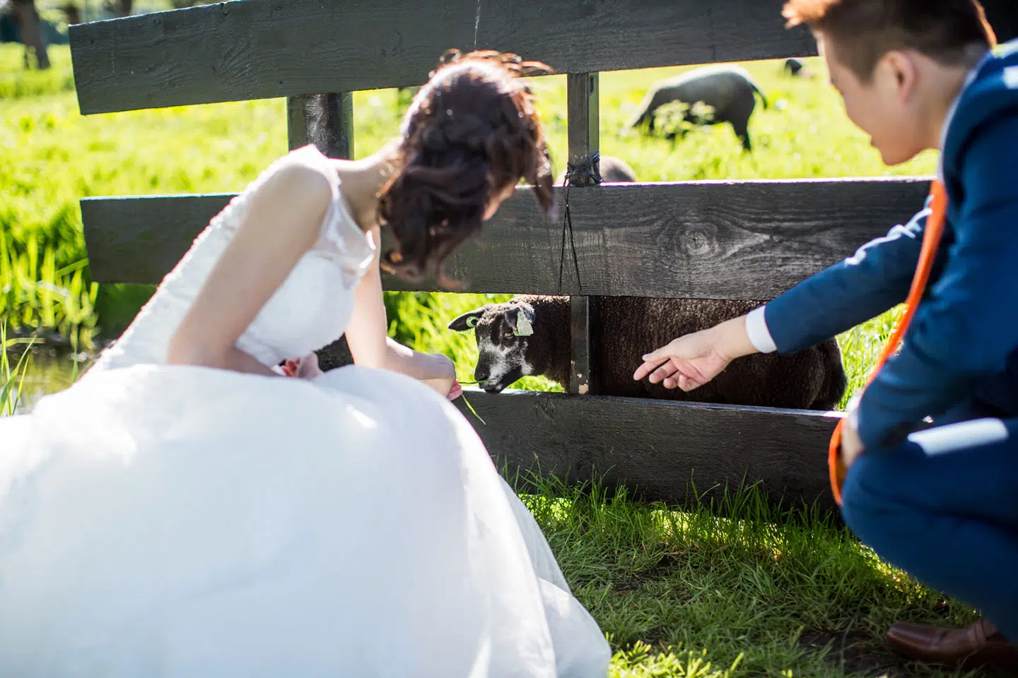 18-pre-wedding-photoshoot-Zaanse-Schans