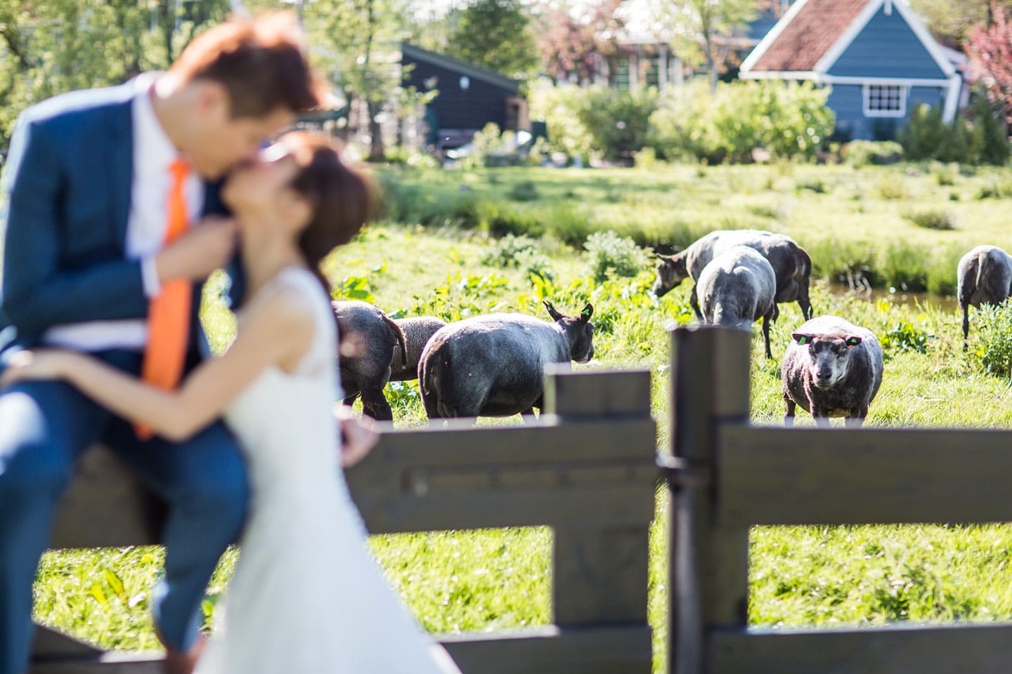 20-pre-wedding-photoshoot-Zaanse-Schans