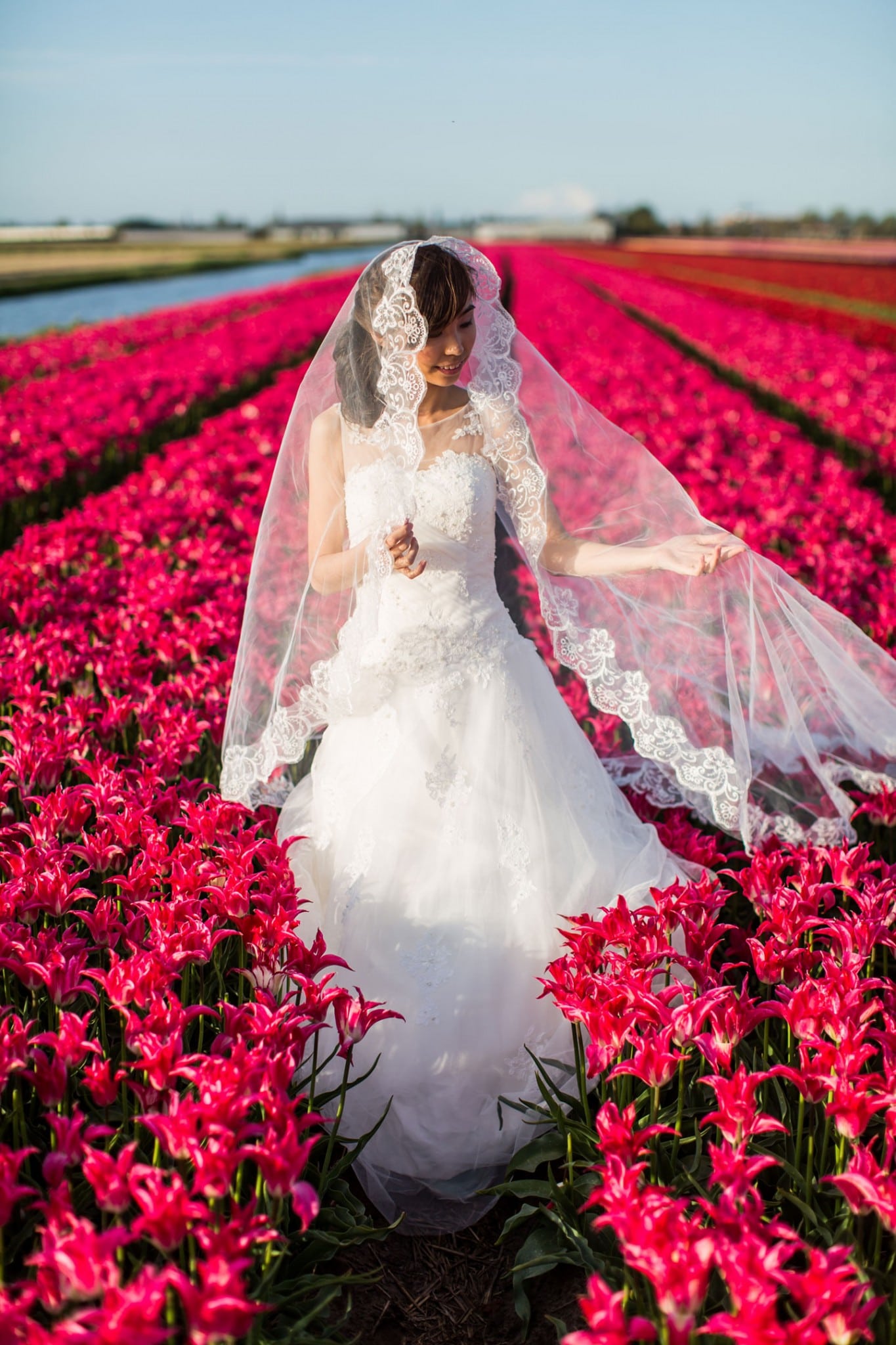 24-pre-wedding-photoshoot-tulips-Keukenhof