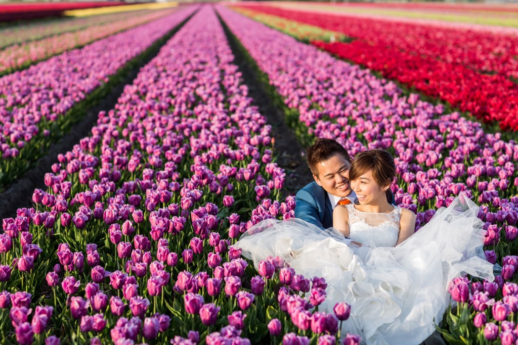 Prewedding photography Tulip Fields Holland