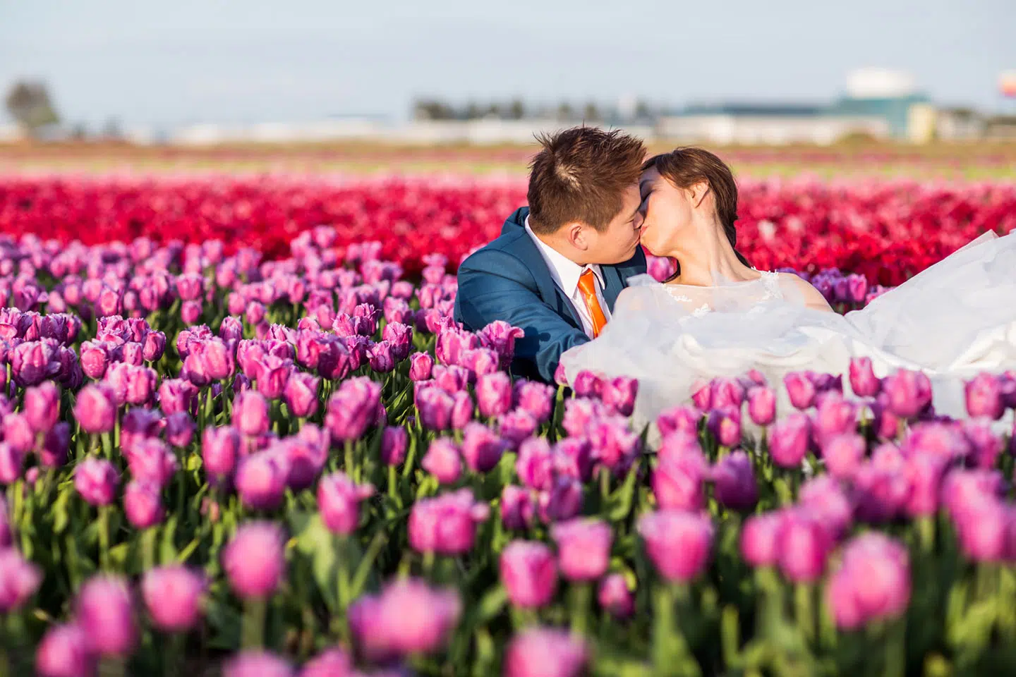 Prewedding Shoot Keukenhof