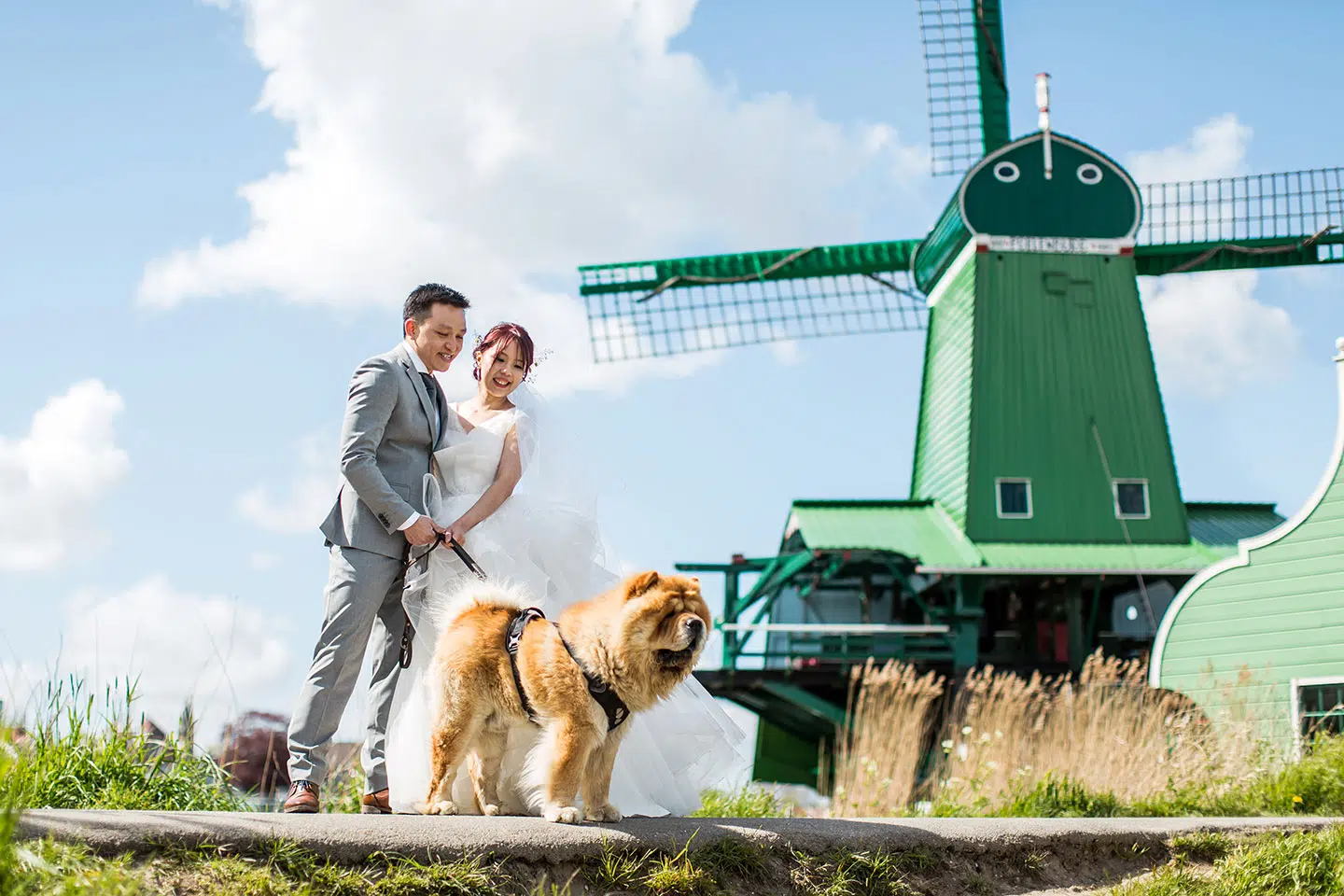 Pre-wedding in Netherlands