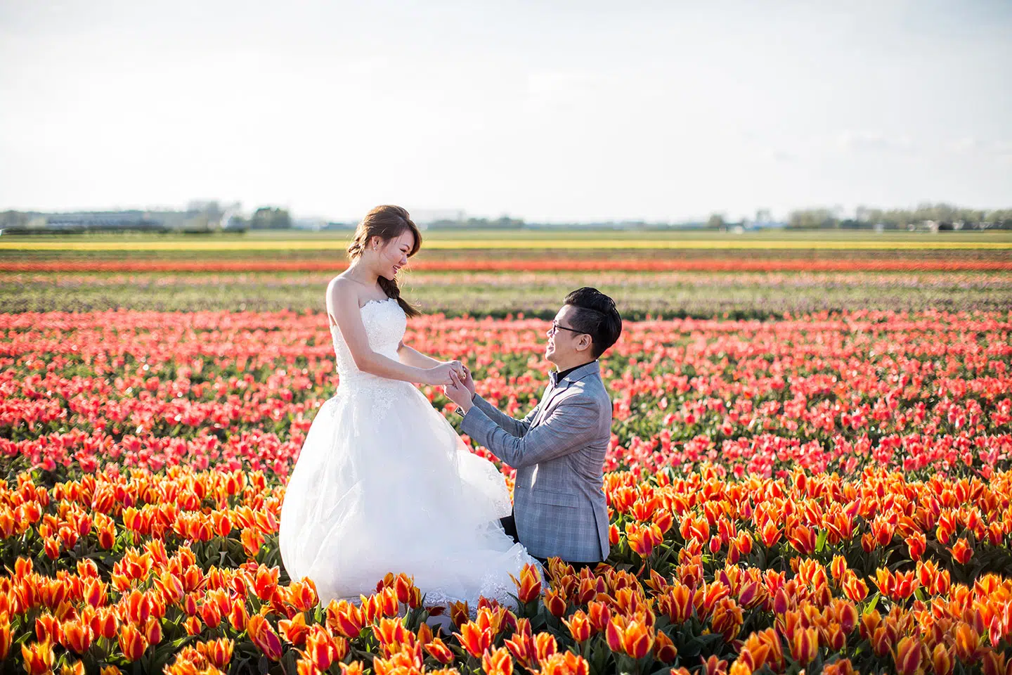 Proposal photoshoot in the tulip fields near Amsterdam, the Netherlands