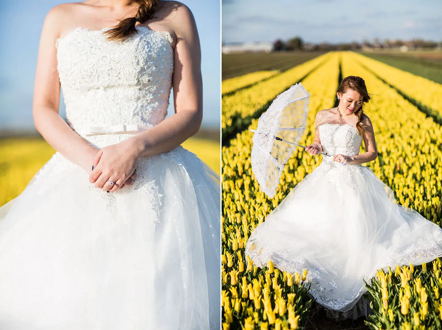 Asian bride during her prewedding shoot in the tulip fields of Amsterdam