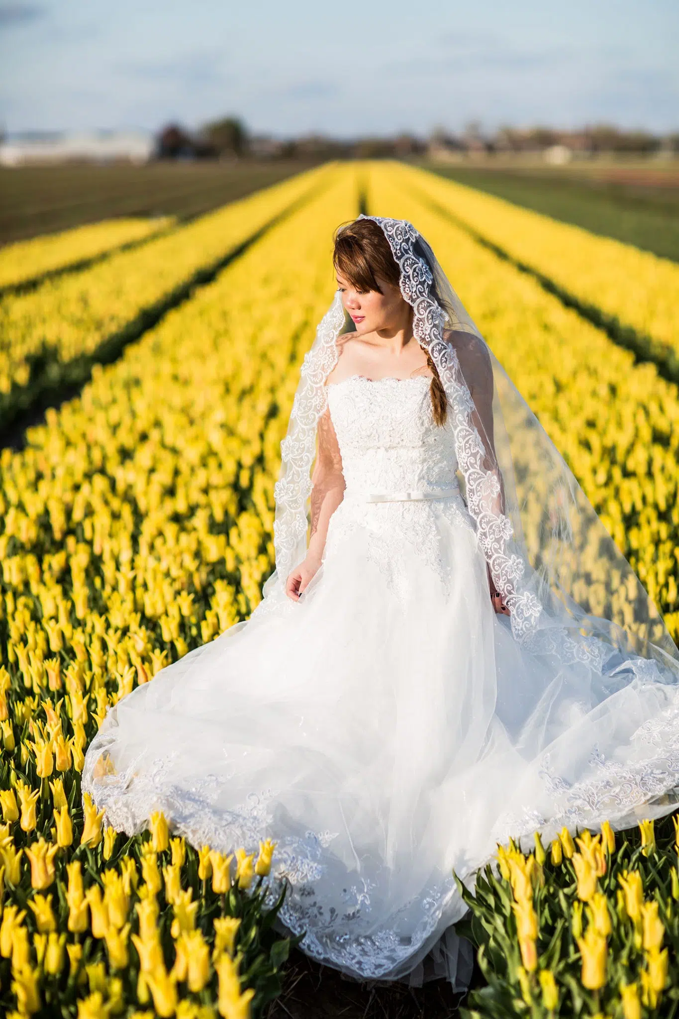Tulip fields prewedding shoot Netherlands
