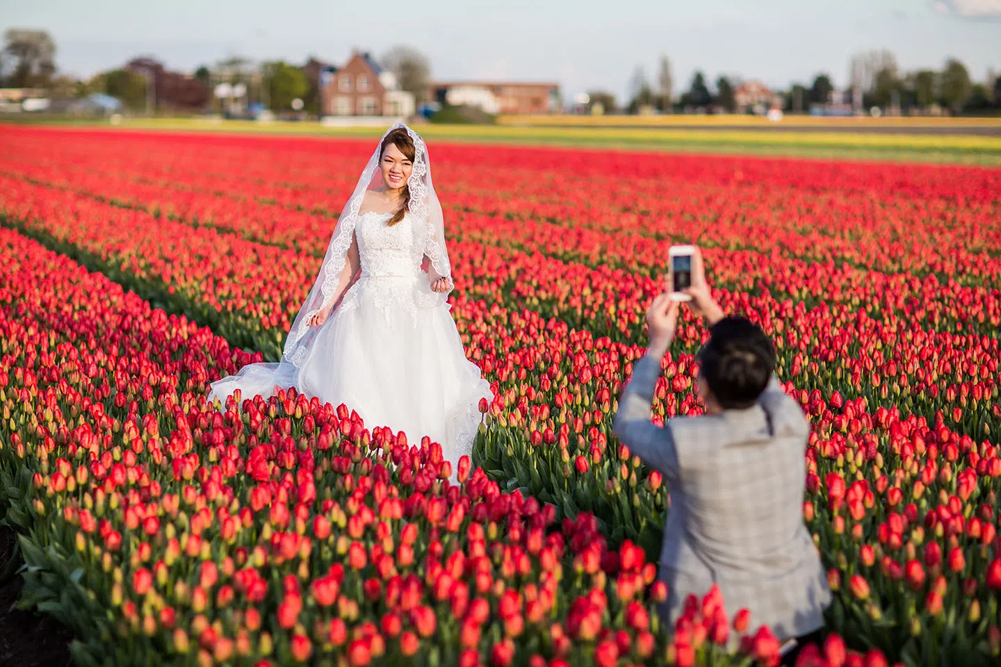 Prewedding photoshooting in the tulip fields of the Netherlands