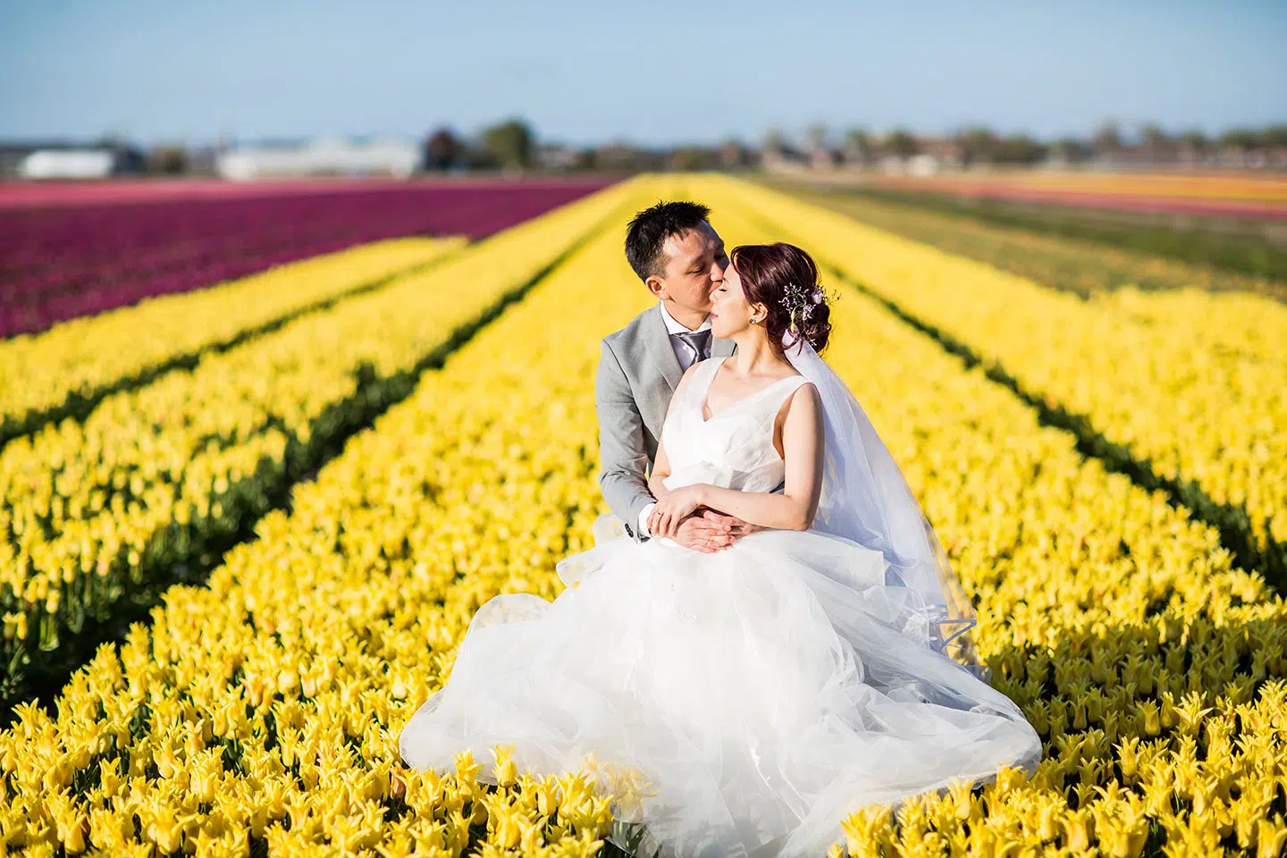 Prewedding shoot in the tulip fields of Amsterdam