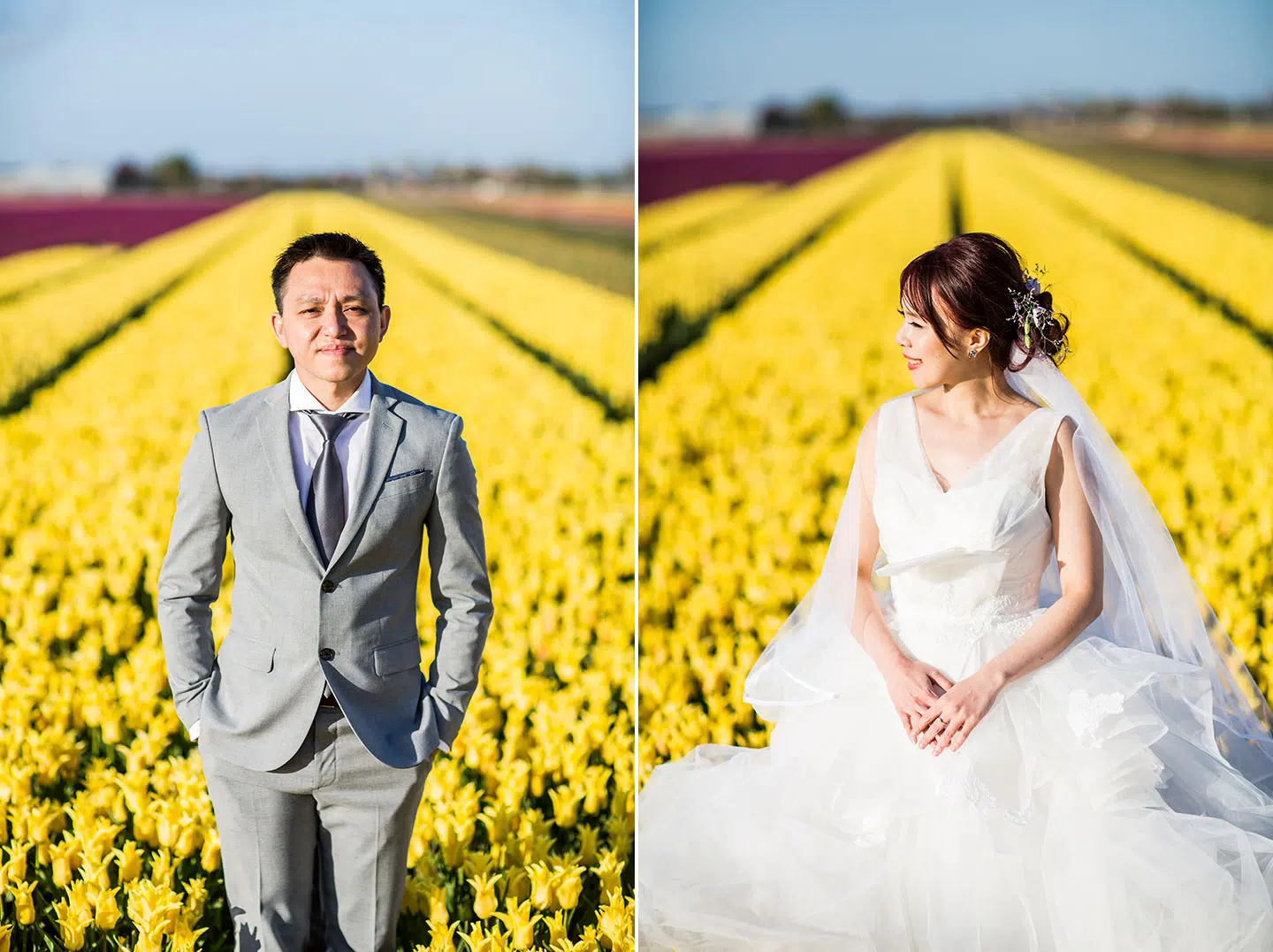 Tulip field pre-wedding photoshoot