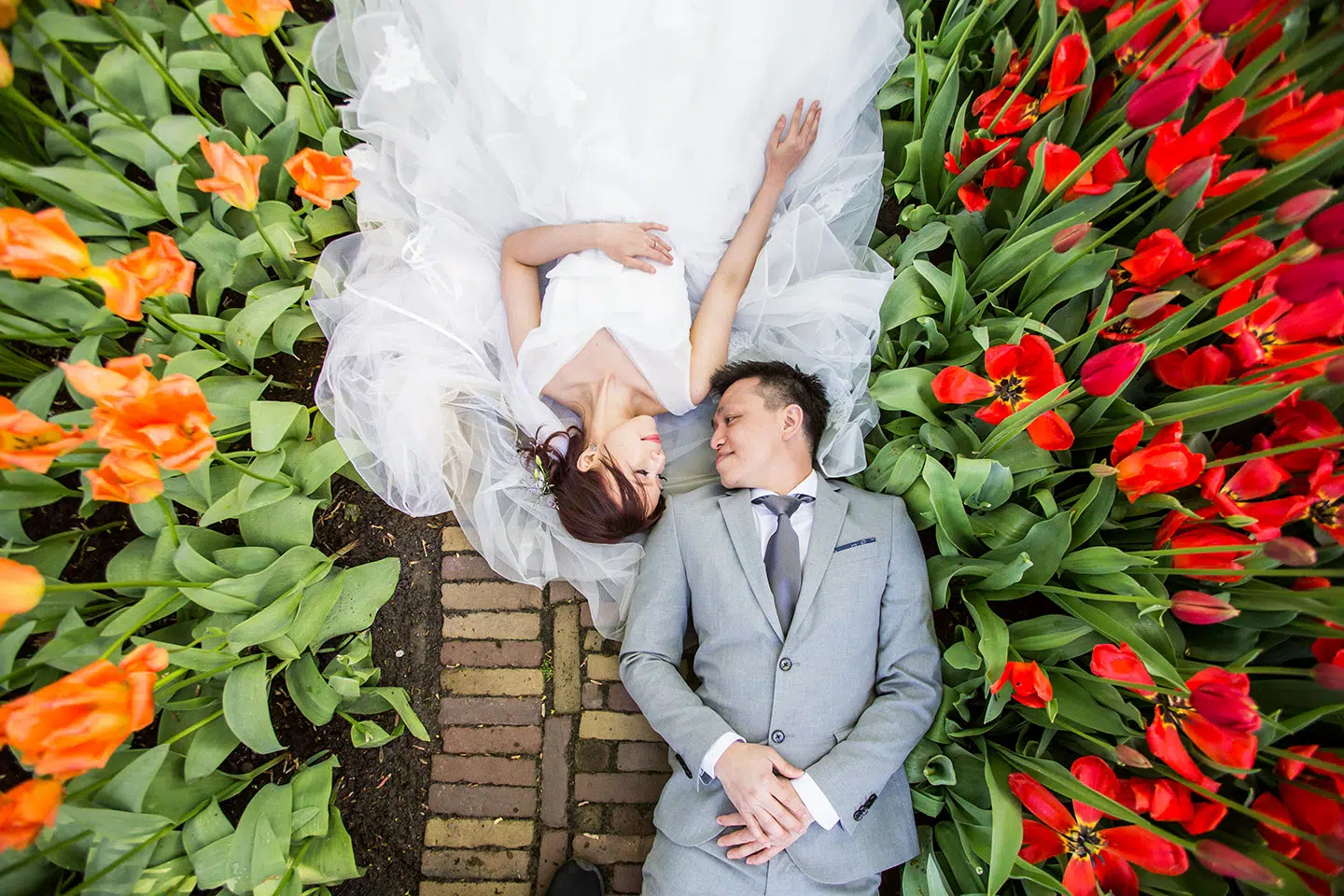 Keukenhof prewedding shoot in the tulip fields