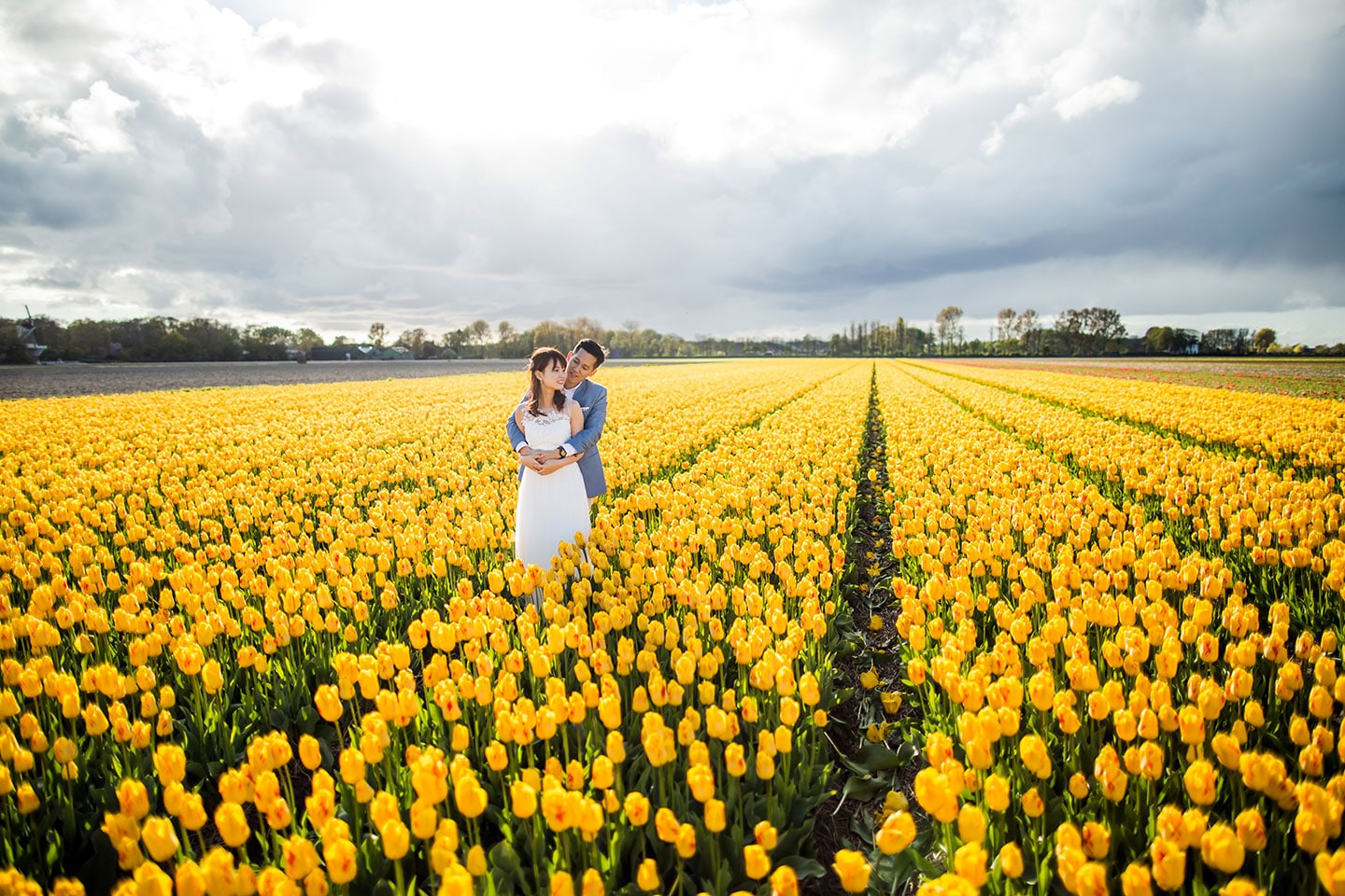 Tulip Fields Netherlands Prewedding Shoot