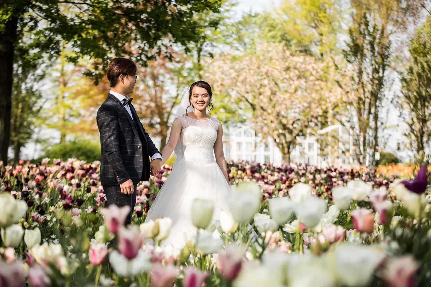 Tulip field prewed photoshoot