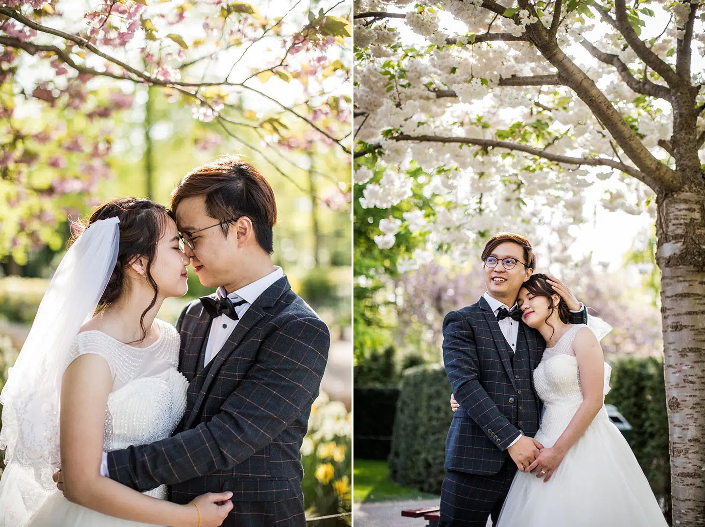 Prewedding sakura Netherlands