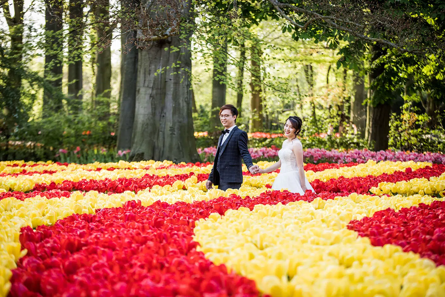 Prewed session tulip fields