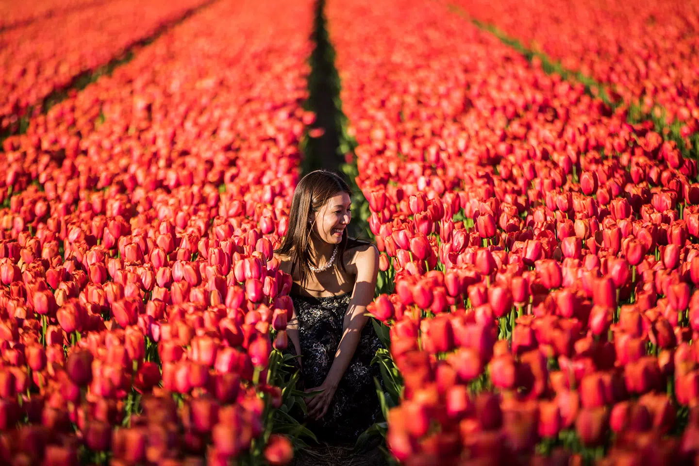 Keukenhof pre wedding