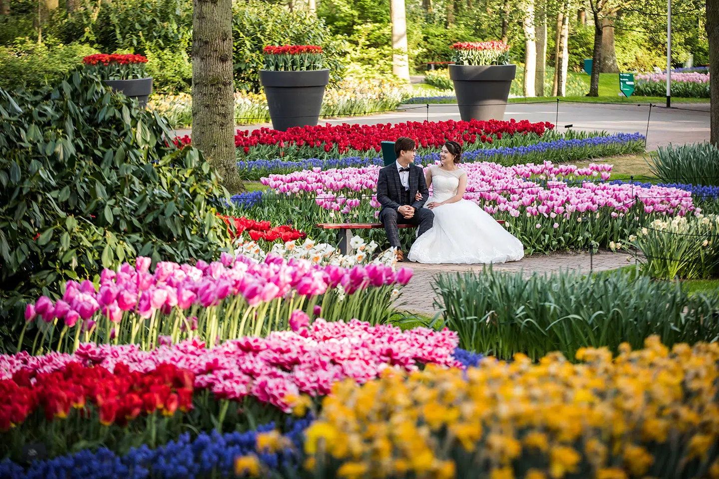 Tulip Fields Pre Wedding photography