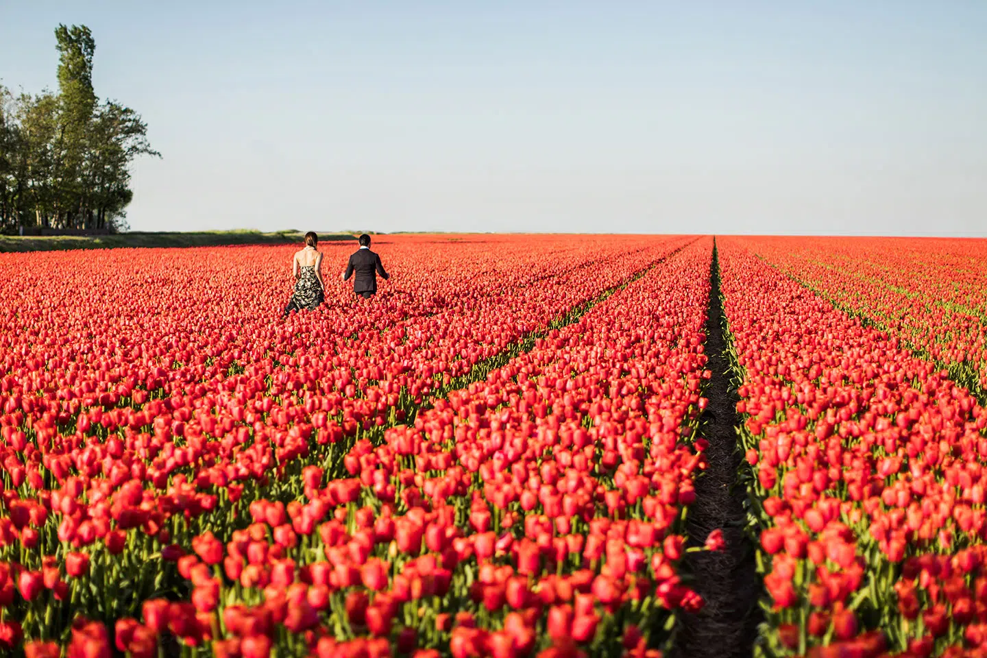 Keukenhof & Zaanse Schans Pre Wedding photographer