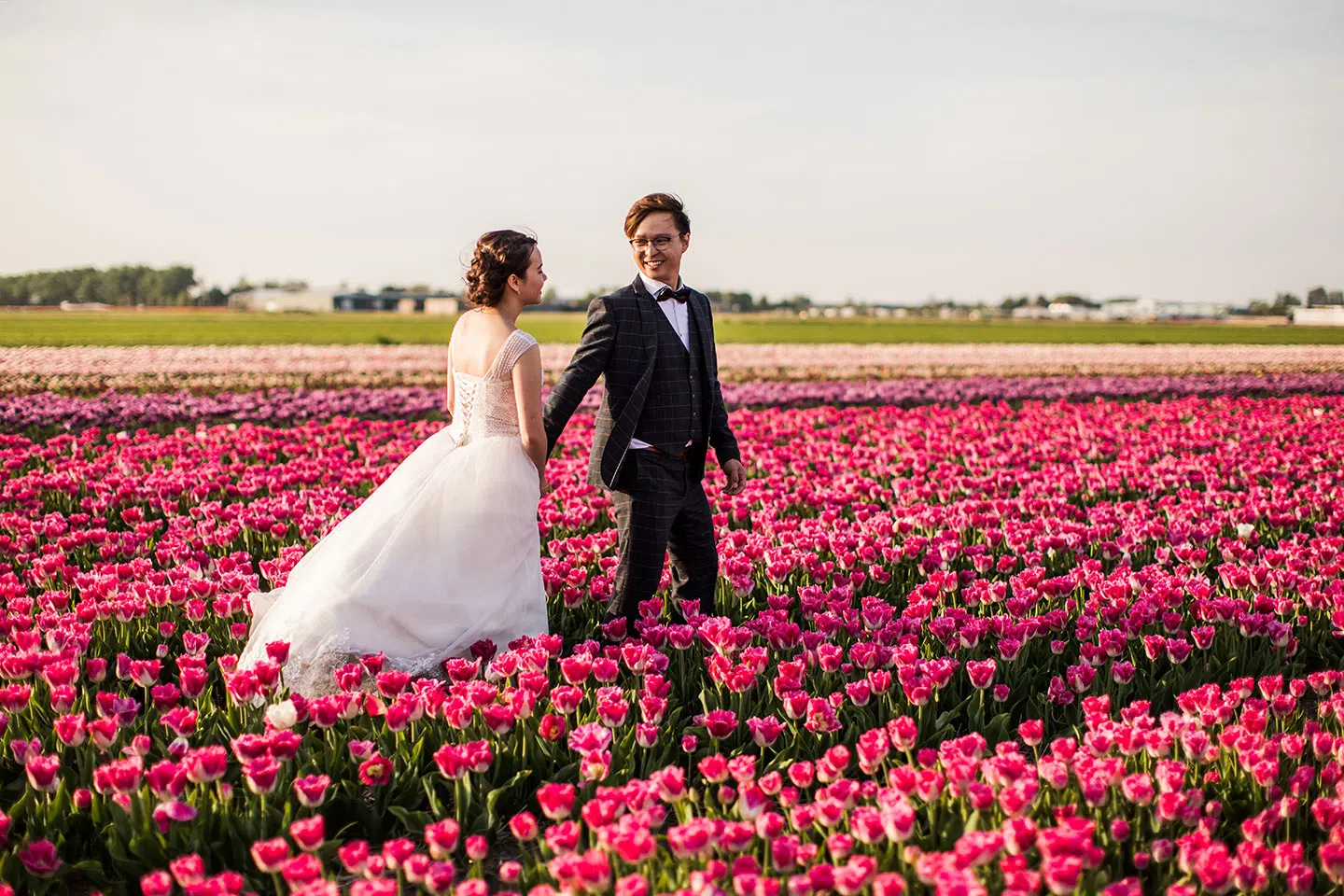 Tulip Fields Pre Wedding Netherlands