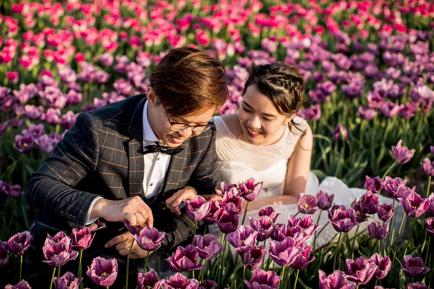 Tulip Fields Pre Wedding Holland