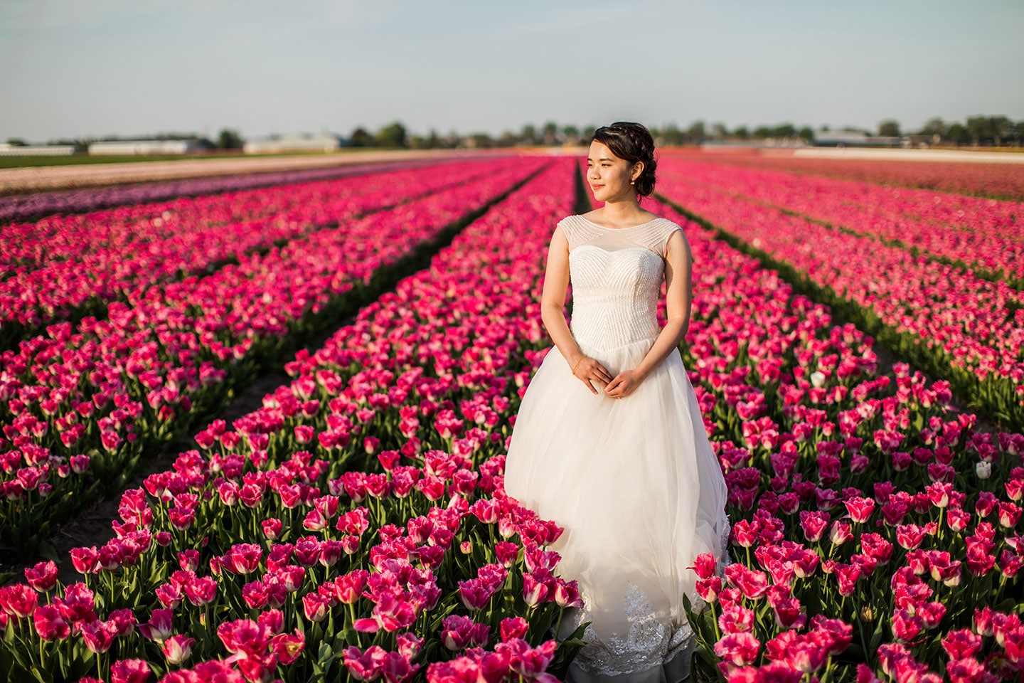 Tulip Fields Pre Wedding photographer