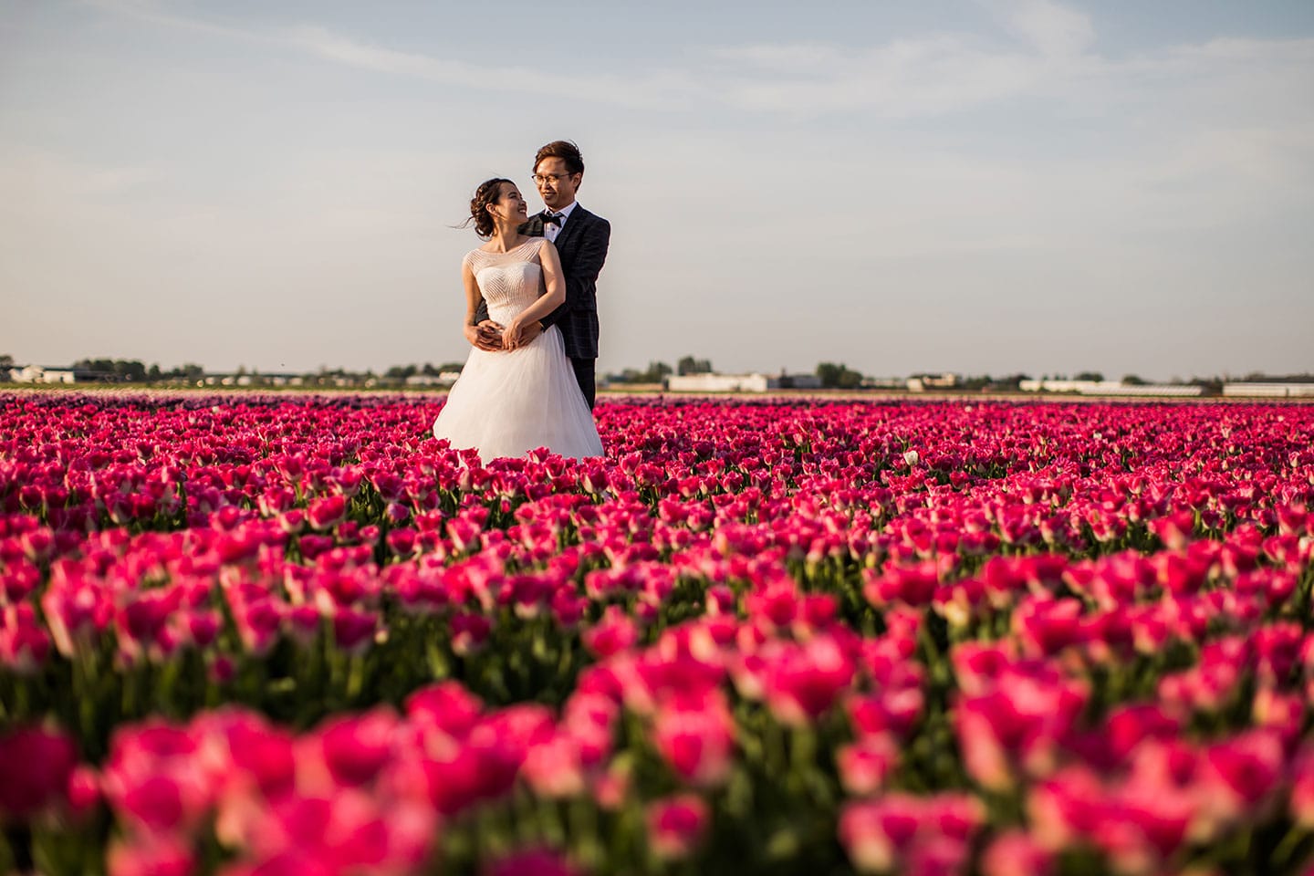 Tulip Fields Pre Wedding