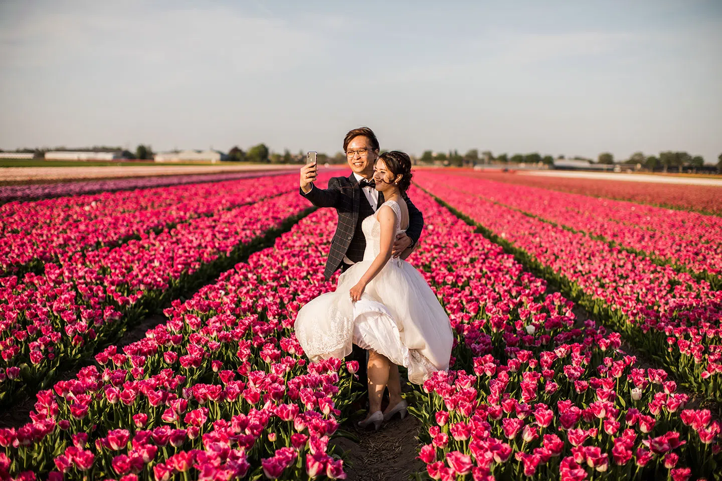 Europe Tulip Fields Pre Wedding