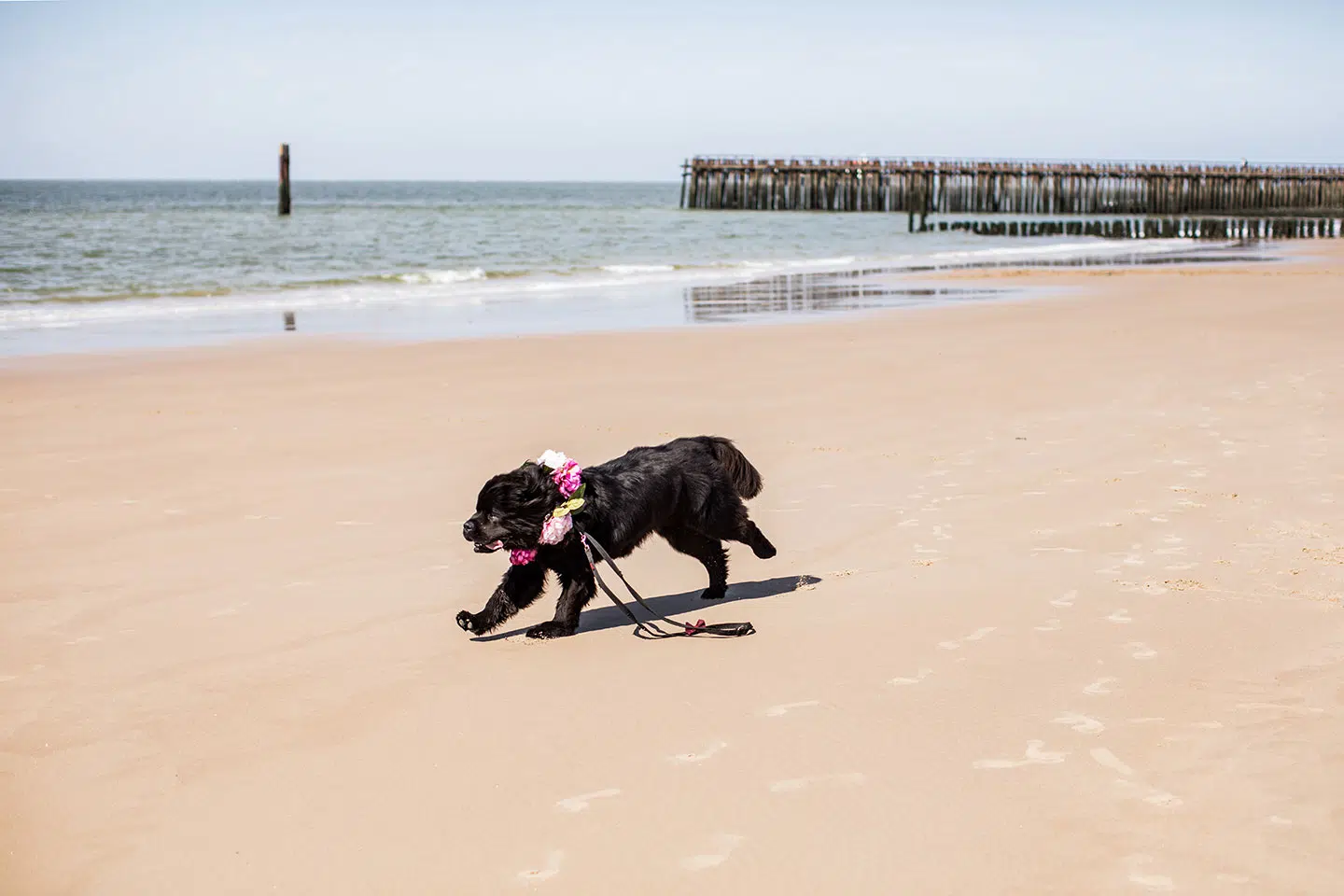 Trouwen in Zeeland