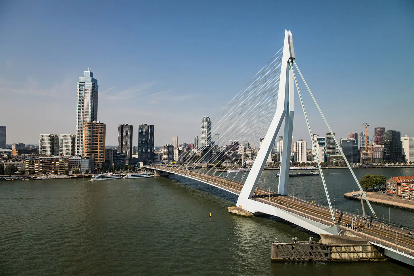 Bruiloft op de Kop van Zuid in Rotterdam