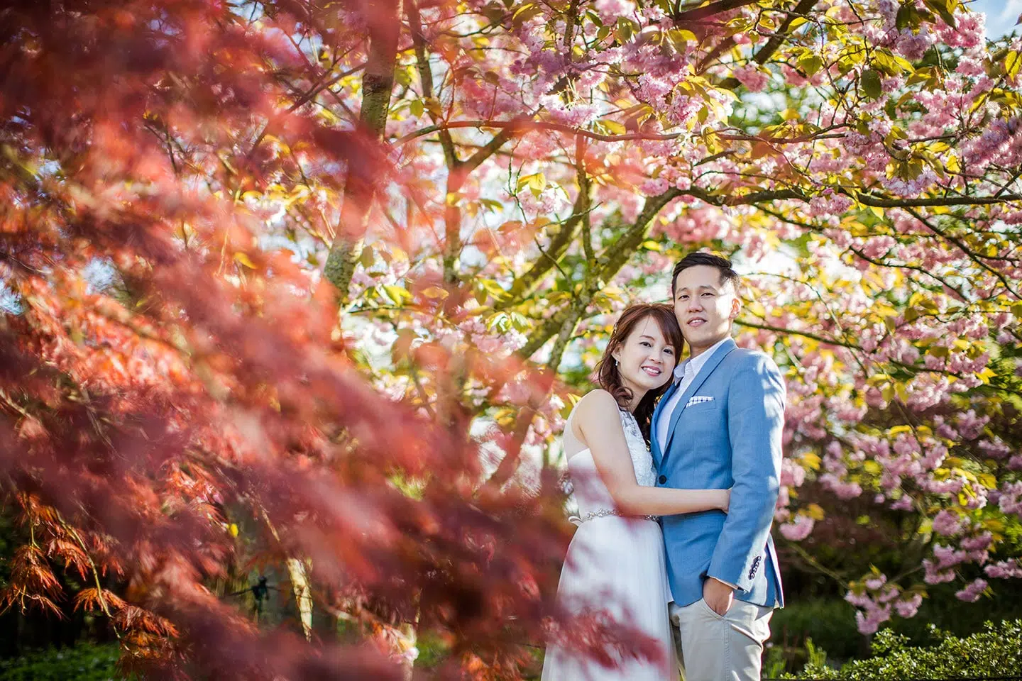 Prewedding shoot in Keukenhof