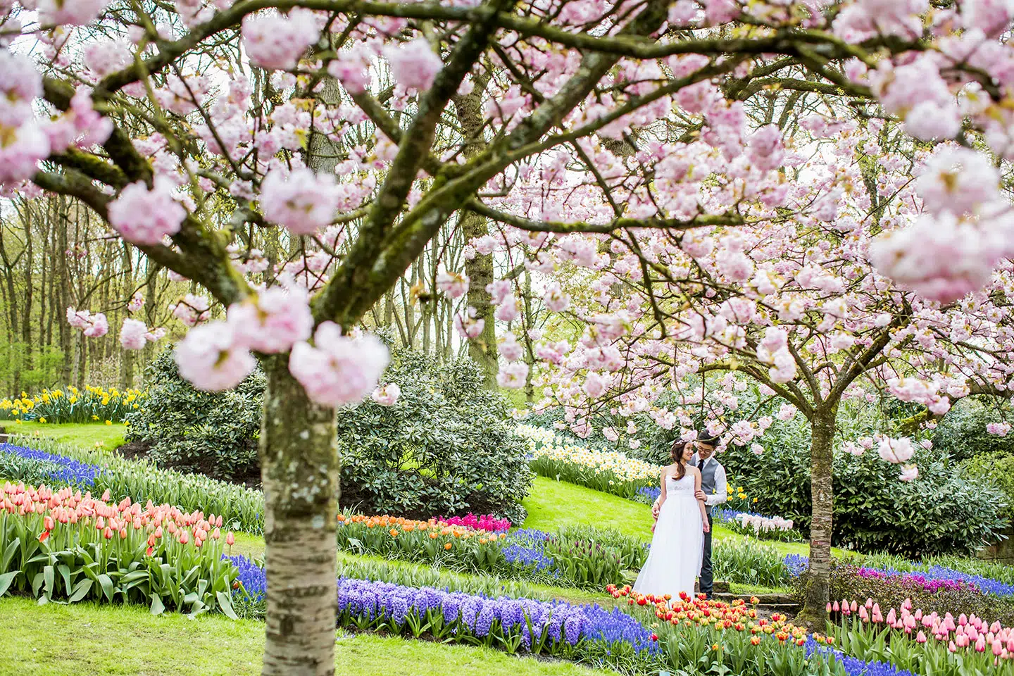 Prewedding photoshoot inside the gardens of Keukenhof