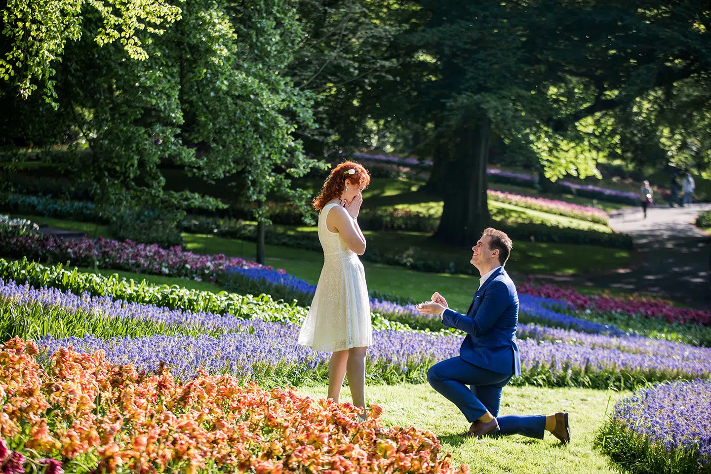 Man proposing to his girlfriend in the tulip fields of the Netherlands
