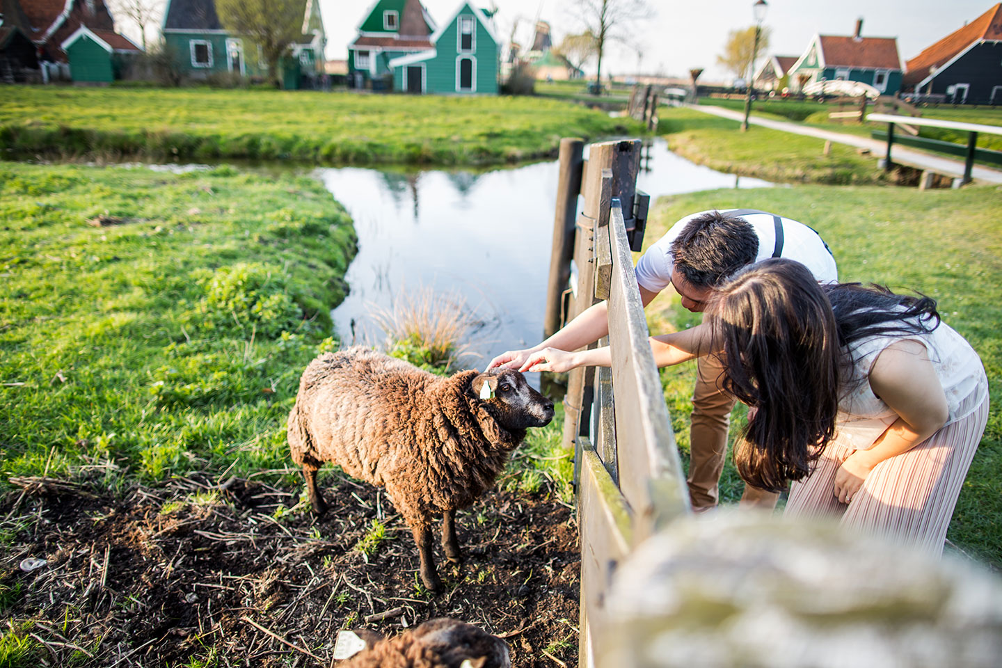 Prewedding shoot at a farm in holland