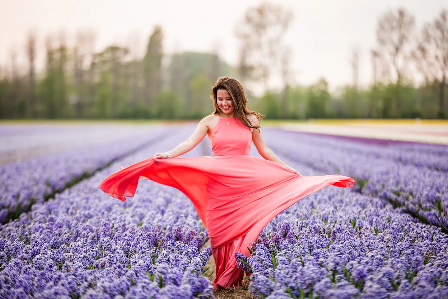 Prewedding shoot in purple tulip fields