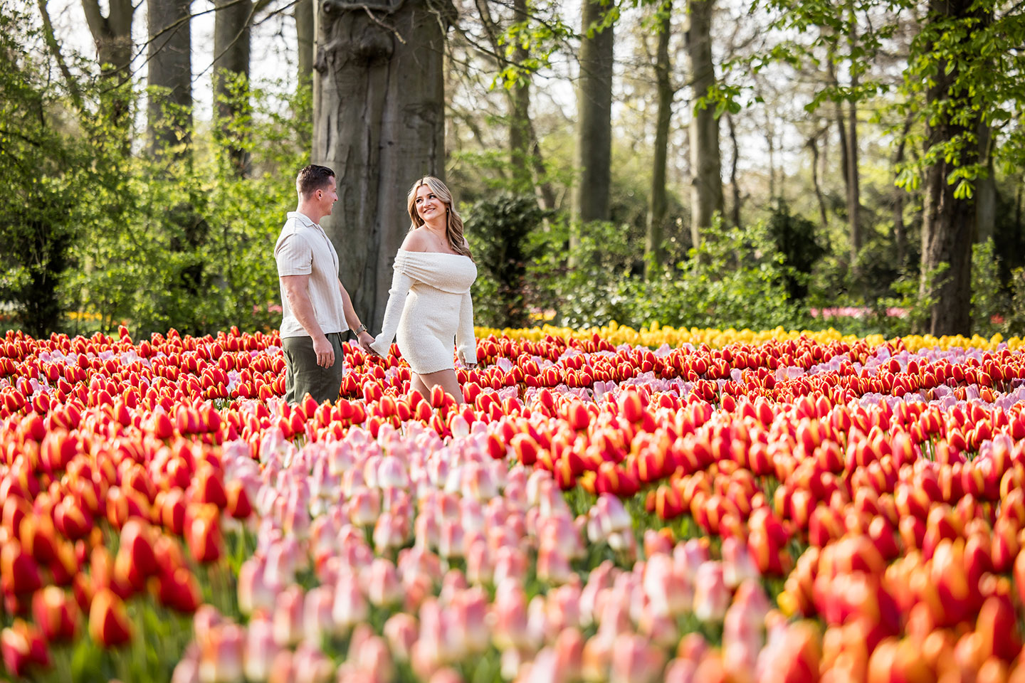 Engagement shoot in the Keukenhof tulip gardens near Amsterdam, the Netherlands